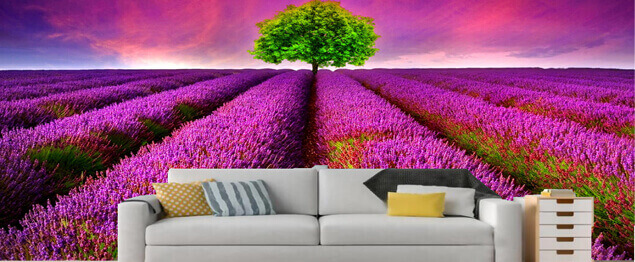 Opta por Vinilos impresos