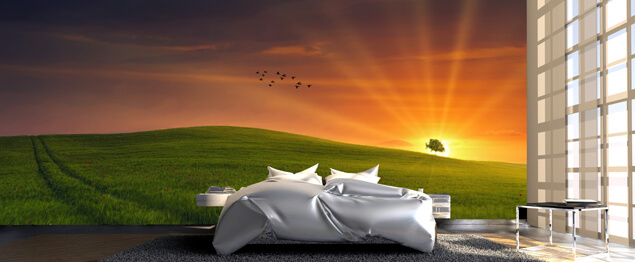 Vinilo impreso y Vinilo de corte Capital Federal