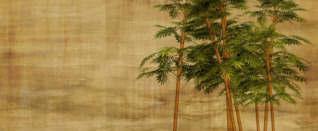 Vinilos murales decorativos CABA - Modelos