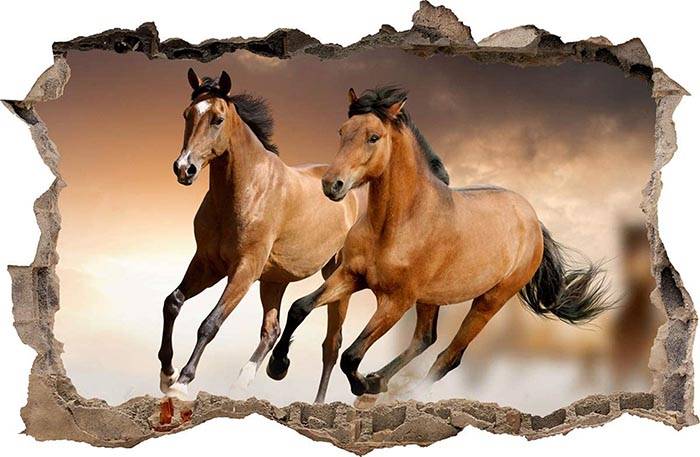 Vinilo impreso efecto 3D caballo grande-  100x100cm - MODELO: 3D_0045