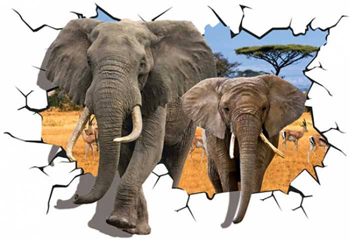 Vinilo impreso efecto 3D Elefantes - 80x80cm - MODELO: 3D_0049
