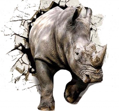 Vinilo impreso efecto 3D Rinocerontes - 80x80cm - MODELO: 3D_0055