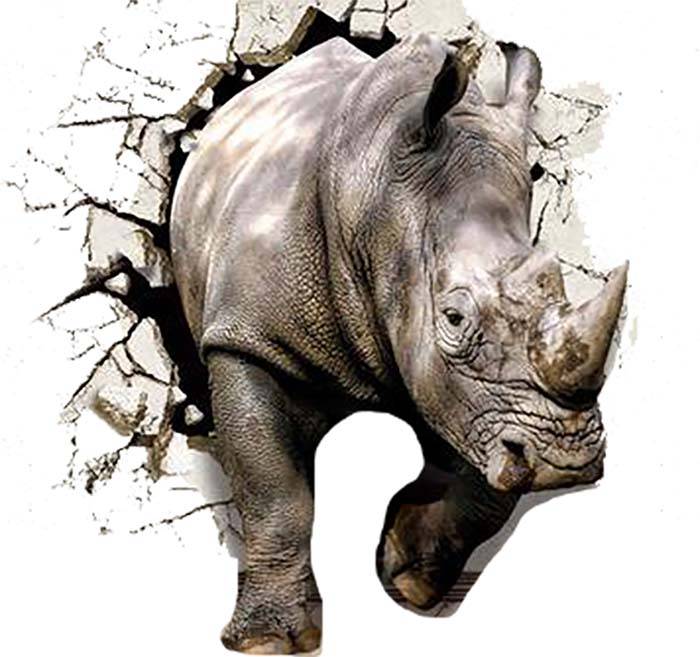 Vinilo impreso efecto 3D Rinoceronte - 100x100cm - MODELO: 3D_0055